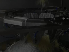 Automatyczna pionowa szybka maszyna do ważenia i pakowania makaronów